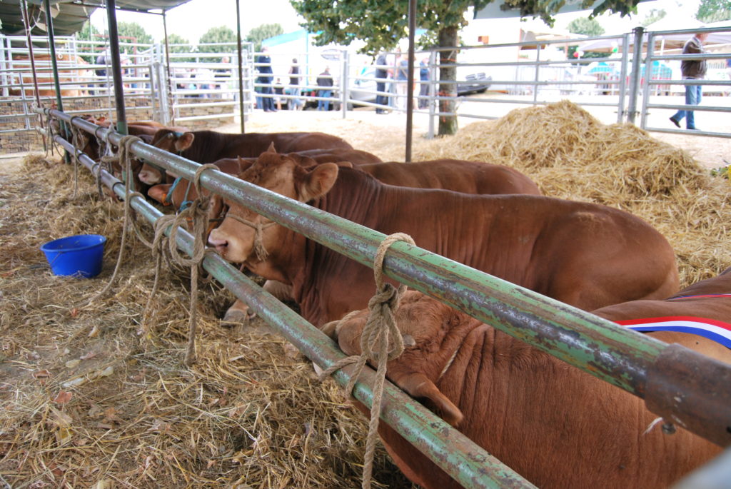 Fete De La Viande Saint Leonard De Noblat 2022