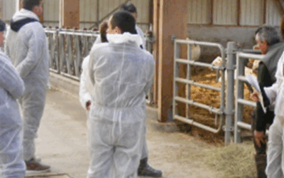 Gérer les parasite pour améliorer le bien-être des animaux